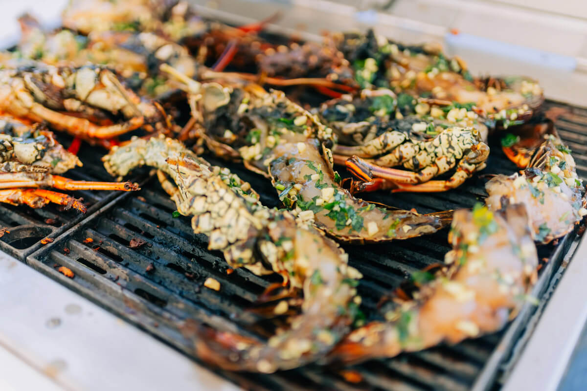 Punta Cana yacht charter